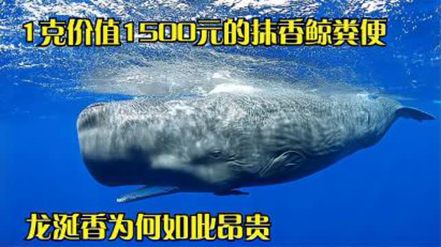 鯨魚拋售ETH償還債務(wù)，交易細(xì)節(jié)及市場(chǎng)沖擊波