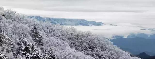 仙境傳說(shuō)，創(chuàng)世紀(jì)盛大發(fā)布會(huì)，揭開(kāi)新紀(jì)元序幕的奇幻之旅