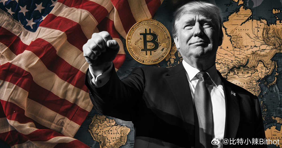 特朗普關(guān)稅政策引發(fā)對比特幣壽命超越美元的深度思考