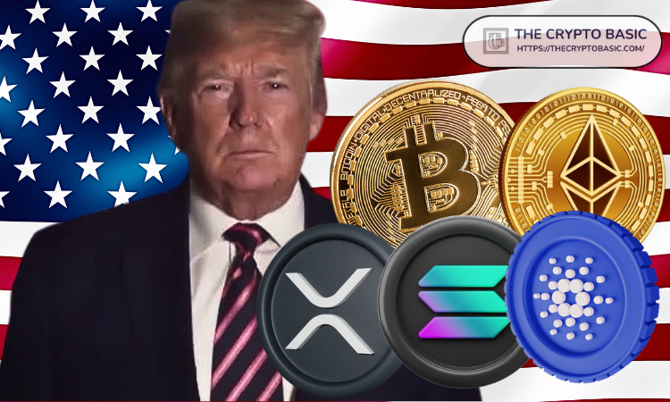 特朗普首次內(nèi)閣會議與比特幣暴跌，一場特殊的金融對話